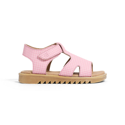 CLEO Candy Picnic