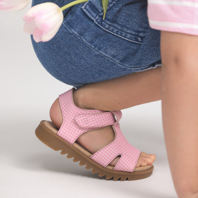 CLEO Candy Picnic
